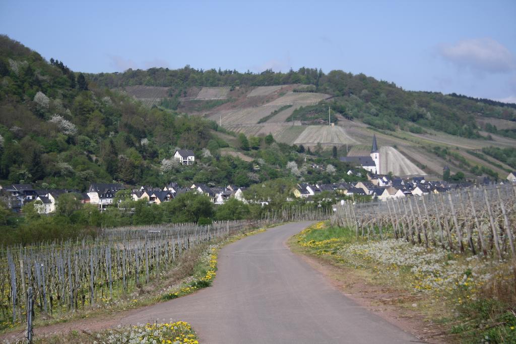 Weingut Goeres Hotel Briedel Exterior foto