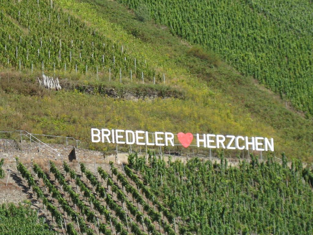 Weingut Goeres Hotel Briedel Quarto foto