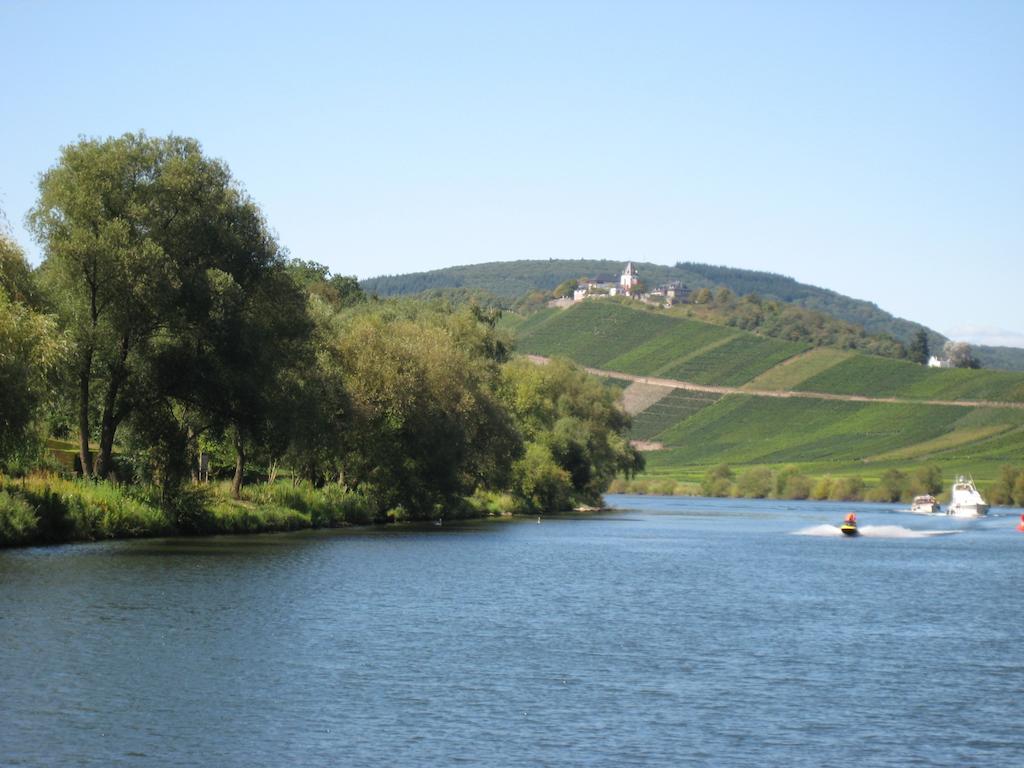 Weingut Goeres Hotel Briedel Exterior foto