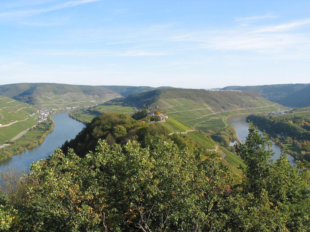 Weingut Goeres Hotel Briedel Exterior foto